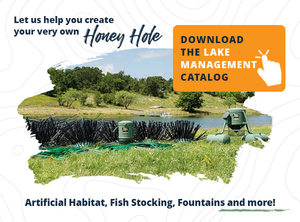 Download-Lake-Management-Catalog